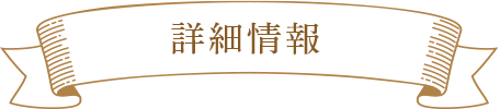 詳細情報